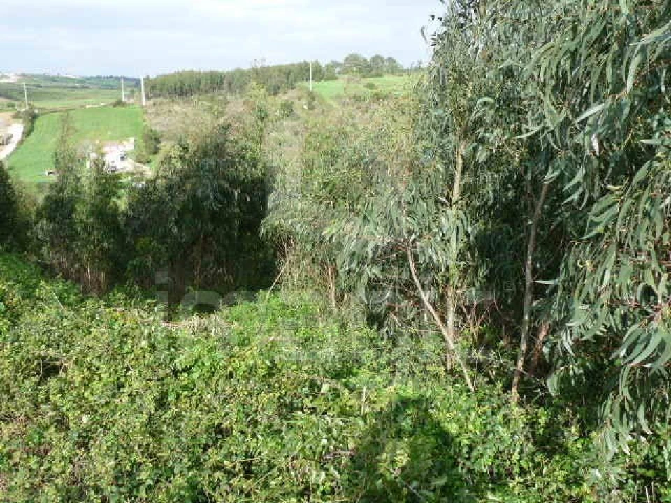 Terreno Agricola ou Rústico para Venda em Mafra Foto 1