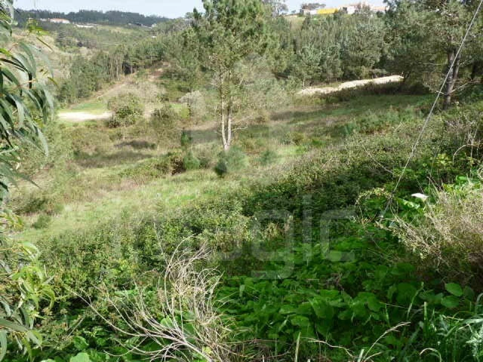 Terreno Agricola ou Rústico para Venda em Mafra Foto 4