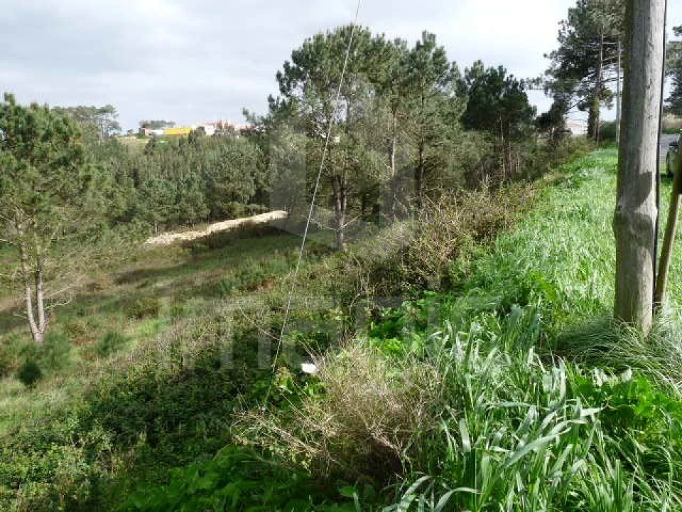 Terreno Agricola ou Rústico para Venda em Mafra Foto 5