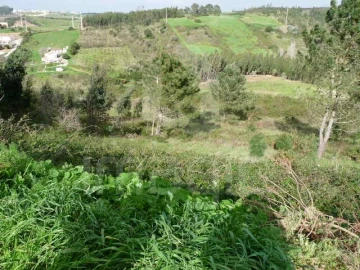 Terreno Agricola ou Rústico para Venda em Mafra