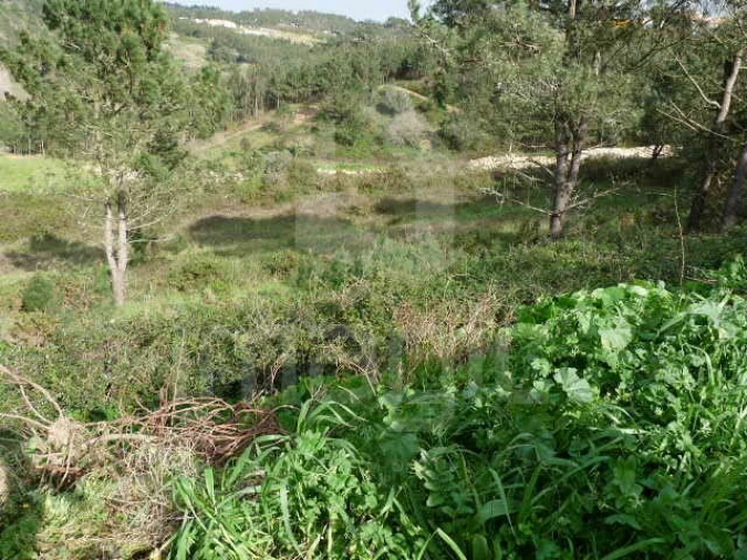 Terreno Agricola ou Rústico para Venda em Mafra Foto 2