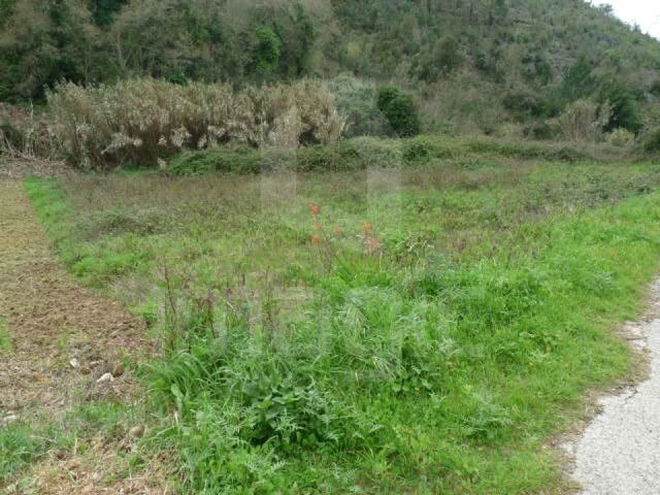 Terreno Agricola ou Rústico para Venda em Santo Isidoro Foto 5