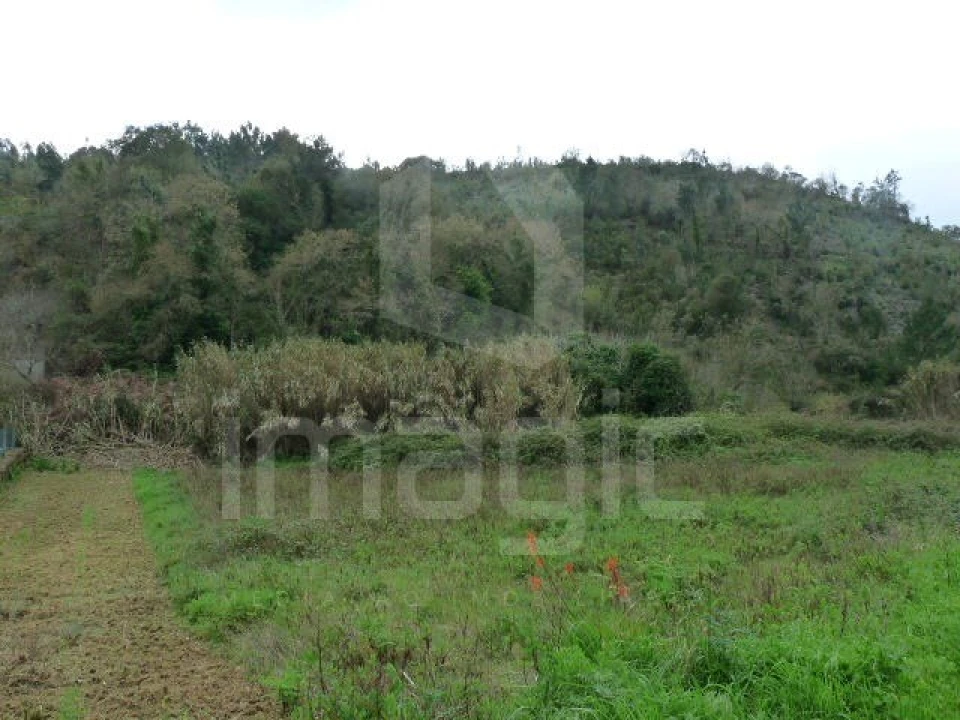 Terreno Agricola ou Rústico para Venda em Santo Isidoro Foto 6