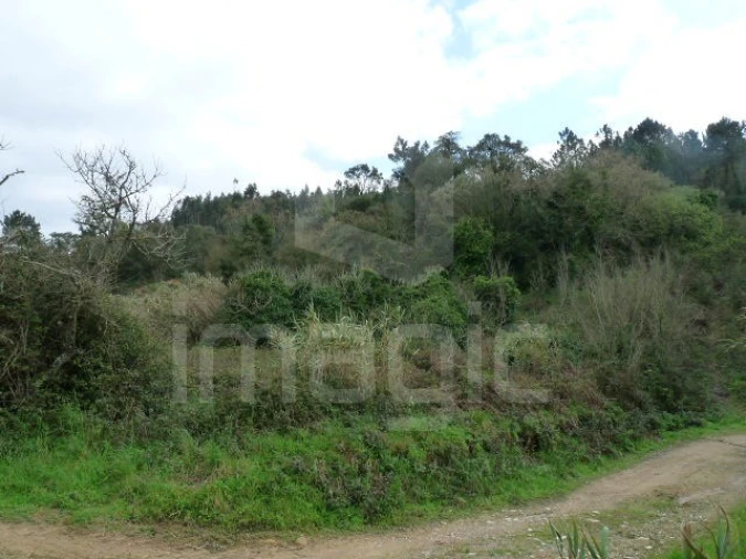 Terreno Agricola ou Rústico para Venda em Santo Isidoro Foto 1
