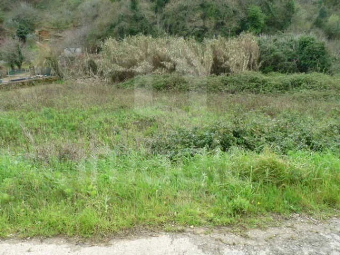Terreno Agricola ou Rústico para Venda em Santo Isidoro Foto 3