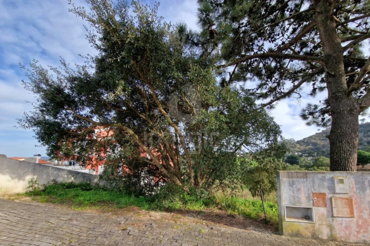 Terreno para Venda em Enxara do Bispo, Gradil e Vila Franca do Rosário Foto 2
