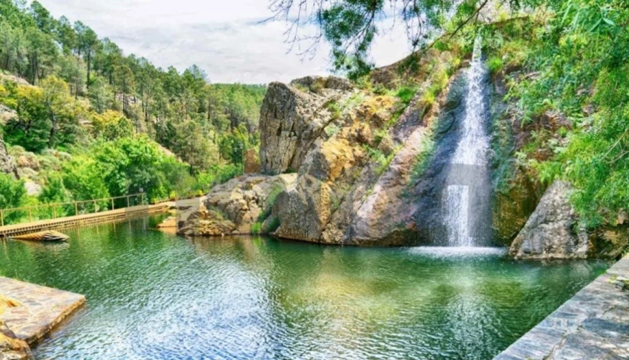 Quinta T10 para Venda em Ninho do Açor e Sobral do Campo Foto 25