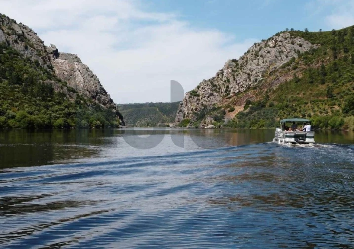 Quinta T10 para Venda em Ninho do Açor e Sobral do Campo Foto 24