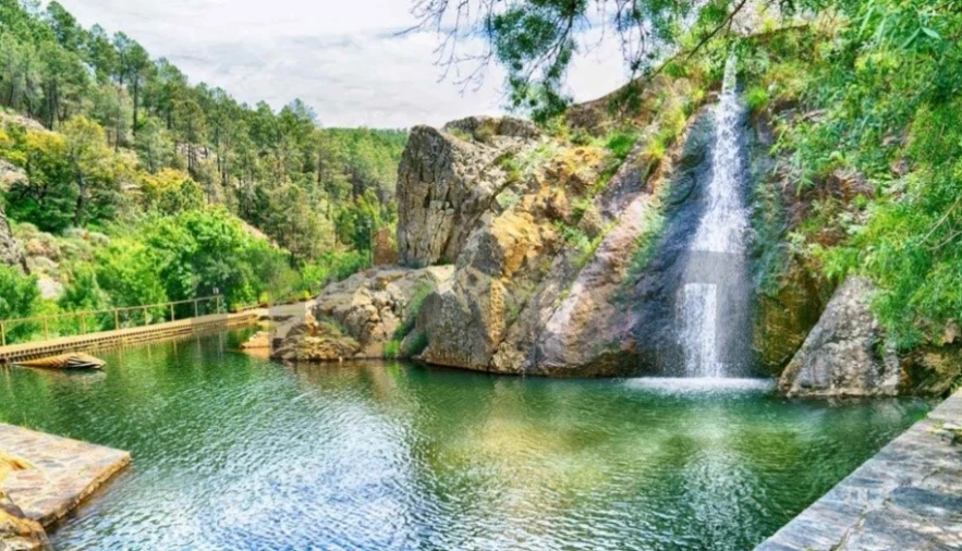 Quinta T10 para Venda em Ninho do Açor e Sobral do Campo Foto 25