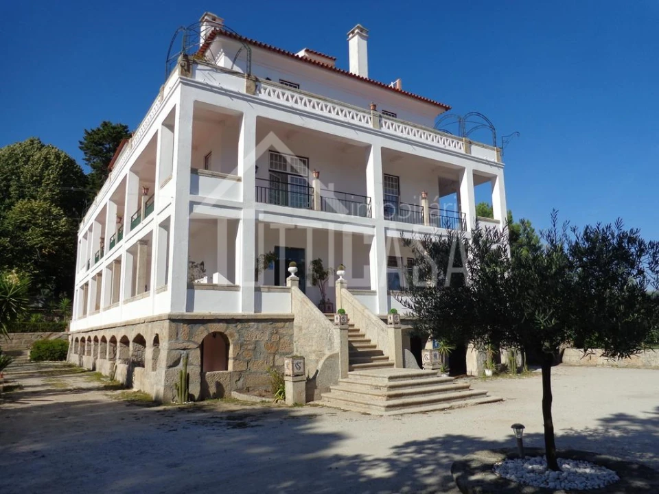 Negócio para Venda em Mangualde, Mesquitela e Cunha Alta Foto 5