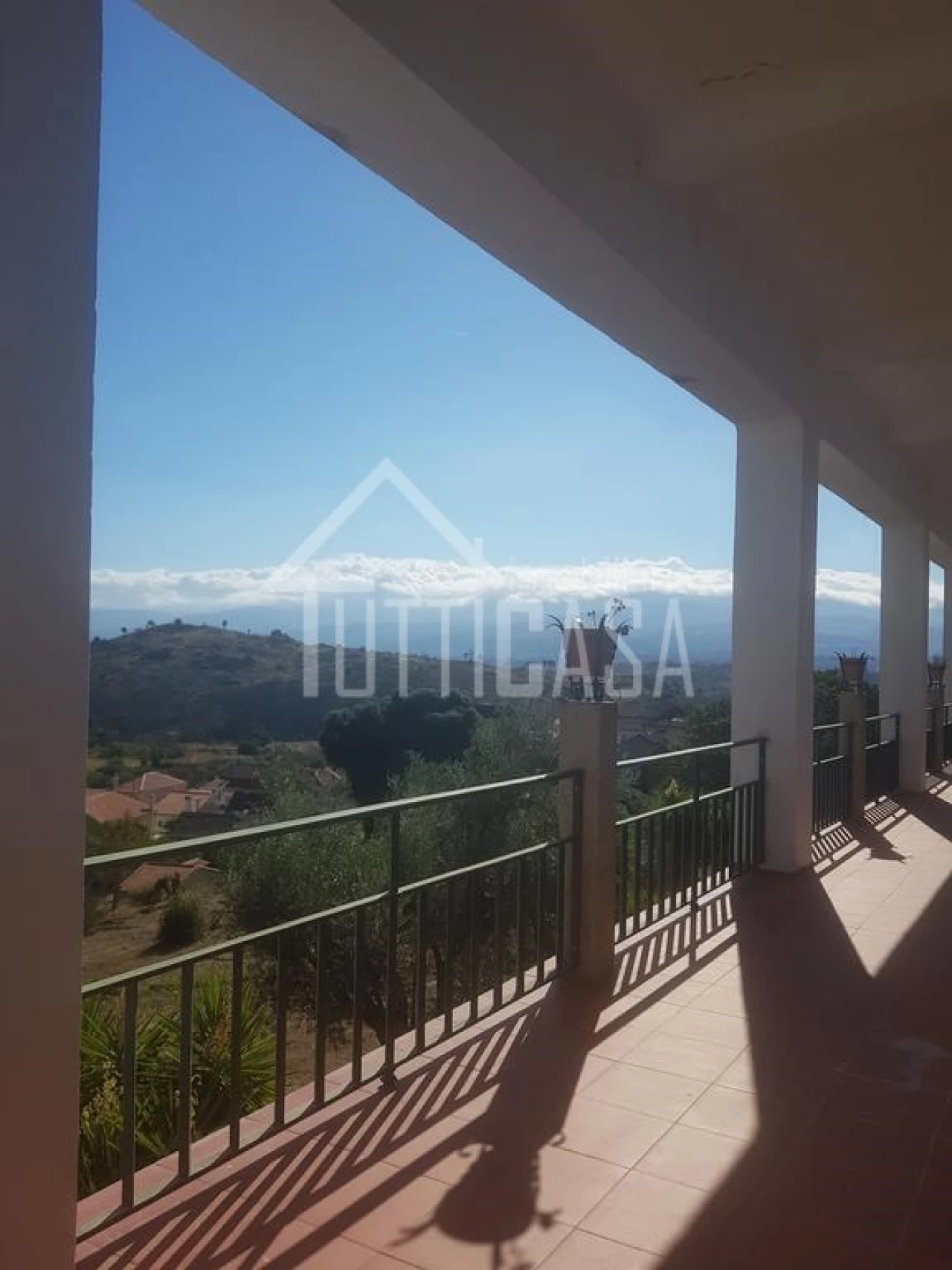 Negócio para Venda em Mangualde, Mesquitela e Cunha Alta Foto 12