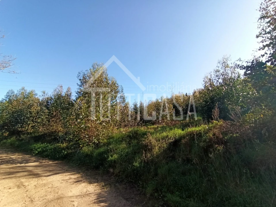Terreno Agricola ou Rústico para Venda em Venda do Pinheiro e Santo Estêvão das Galés Foto 3