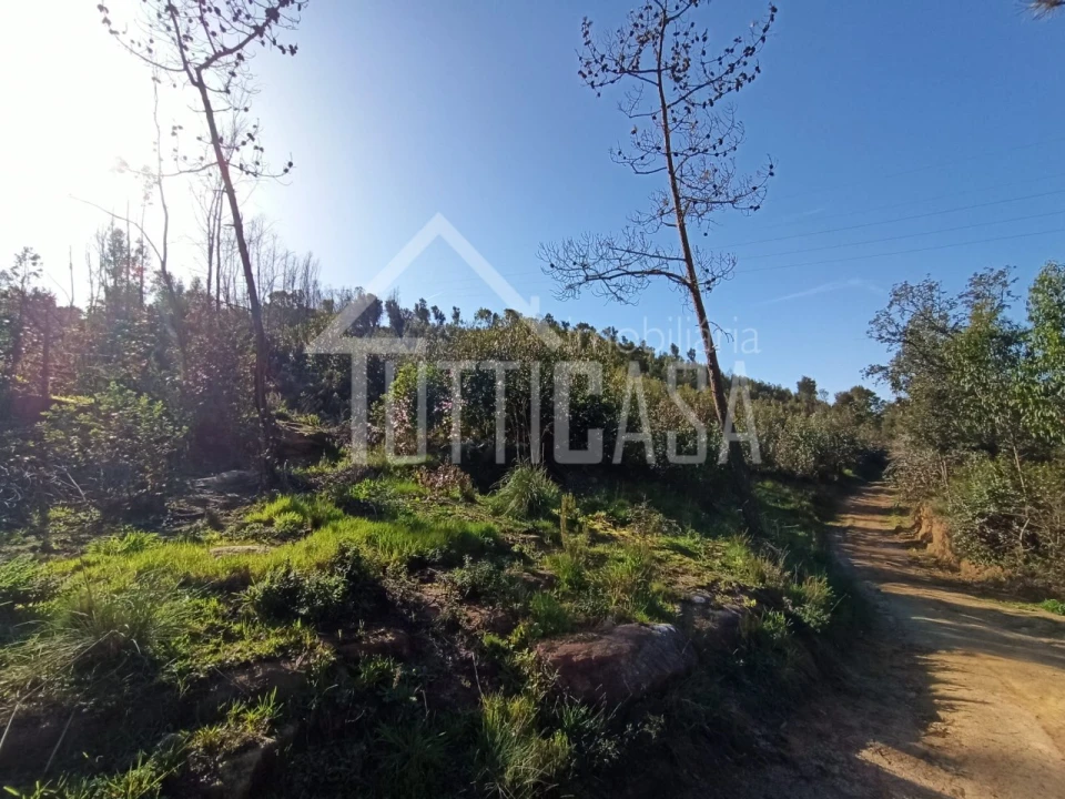 Terreno Agricola ou Rústico para Venda em Venda do Pinheiro e Santo Estêvão das Galés Foto 10