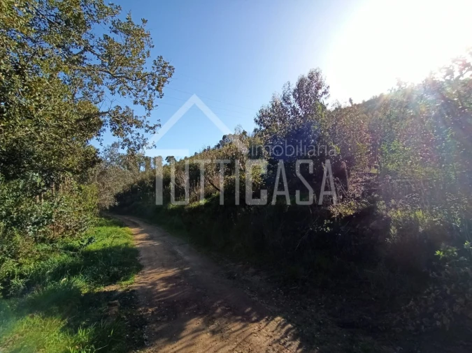 Terreno Agricola ou Rústico para Venda em Venda do Pinheiro e Santo Estêvão das Galés Foto 4