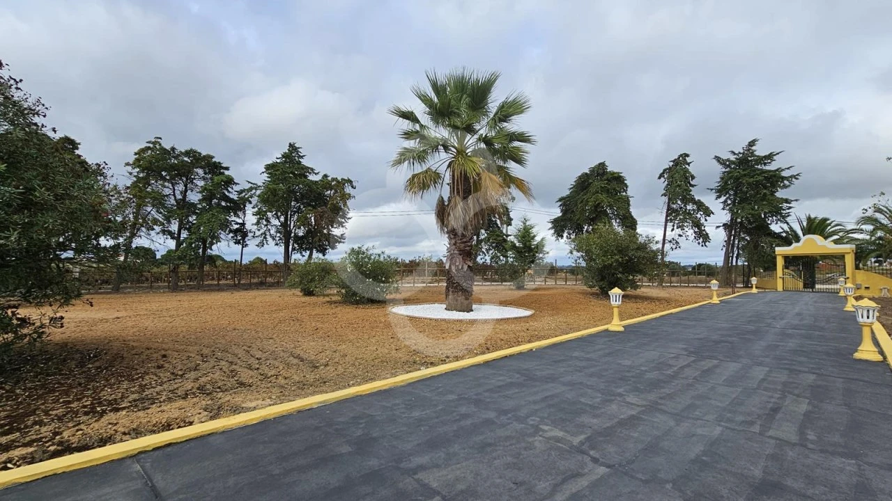 Quinta T5 para Venda em Aveiras de Cima Foto 5