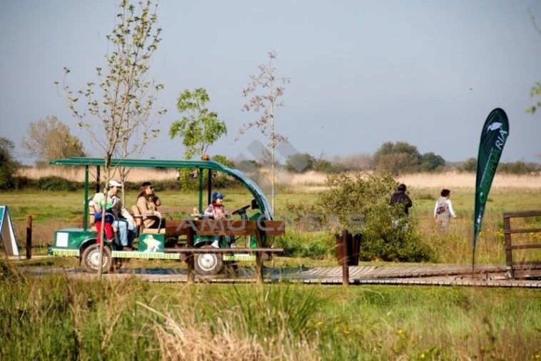 Terreno para Venda em Canelas e Fermelã Foto 10