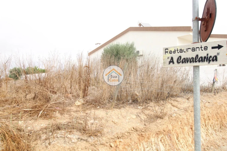 Terreno para Venda em Castro Verde e Casével Foto 17