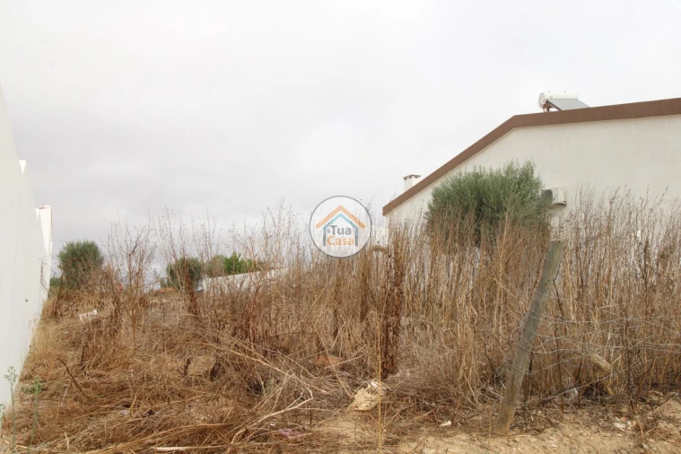 Terreno para Venda em Castro Verde e Casével Foto 18
