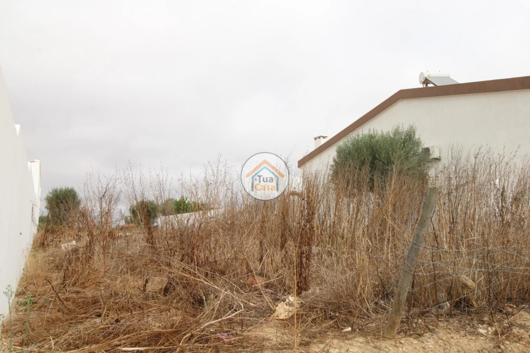 Terreno para Venda em Castro Verde e Casével Foto 18