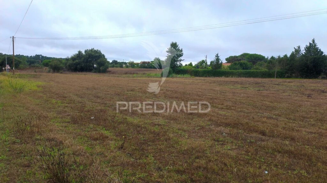 Terreno para Venda em Longueira/Almograve Foto 3