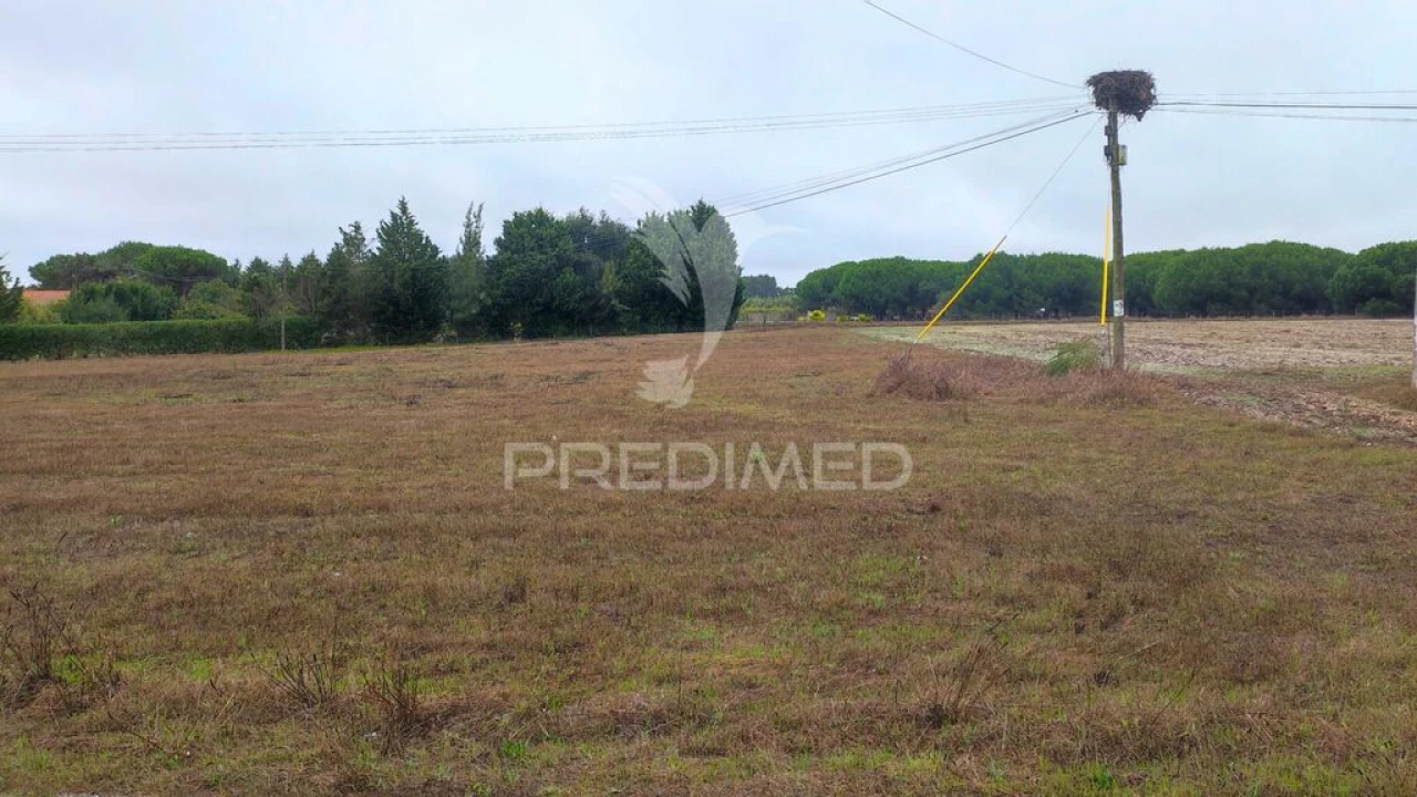 Terreno para Venda em Longueira/Almograve Foto 2