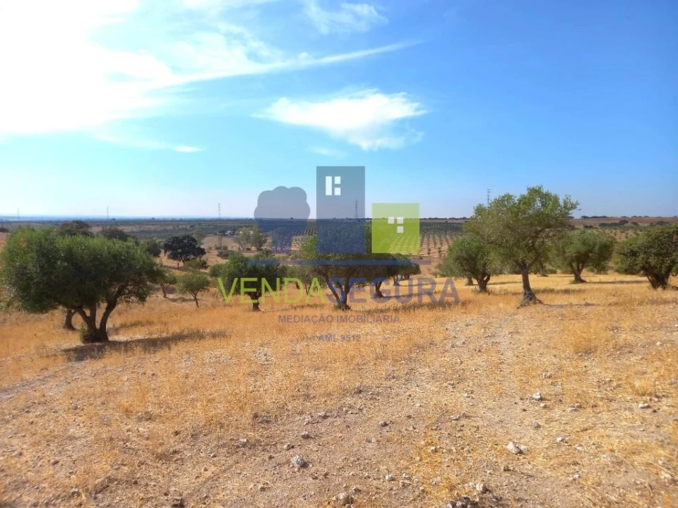 Terreno para Venda em Amareleja Foto 14