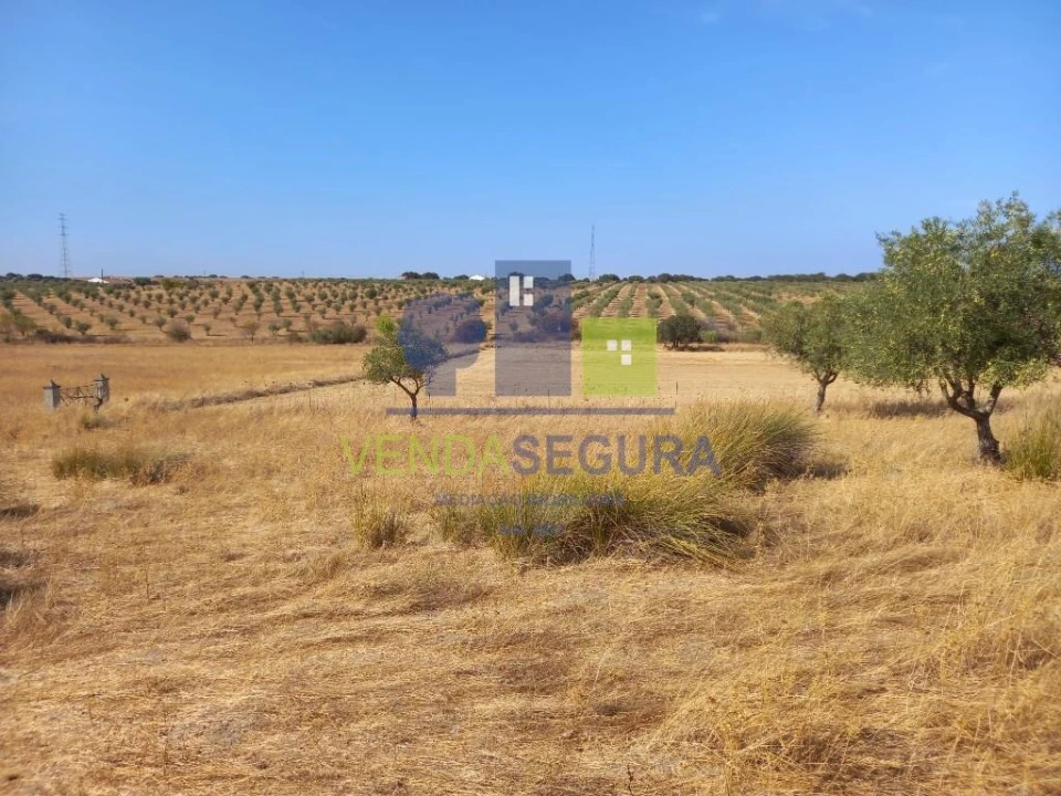 Terreno para Venda em Amareleja Foto 6