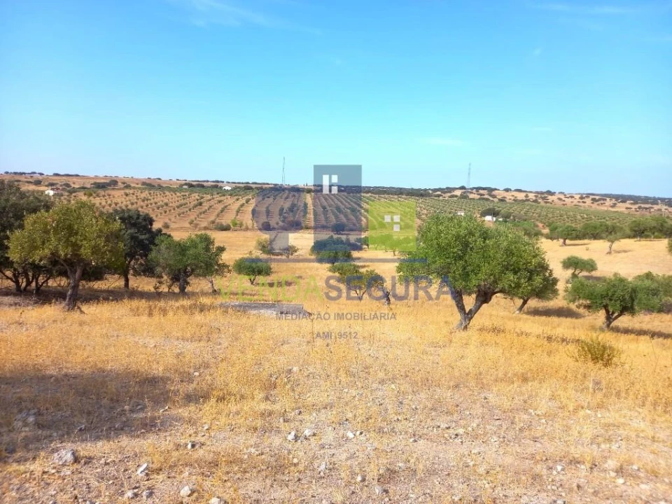 Terreno para Venda em Amareleja Foto 3