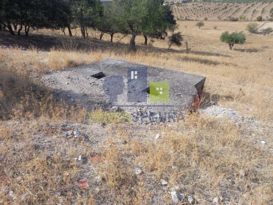 Terreno para Venda em Amareleja Foto 13