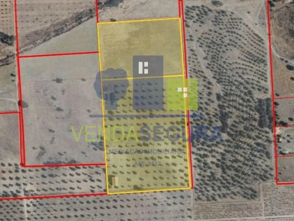 Terreno para Venda em Amareleja Foto 2