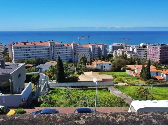 Terreno para Venda em São Martinho Foto 4