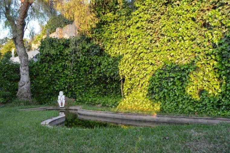 Quinta T6 para Venda em São Silvestre Foto 8