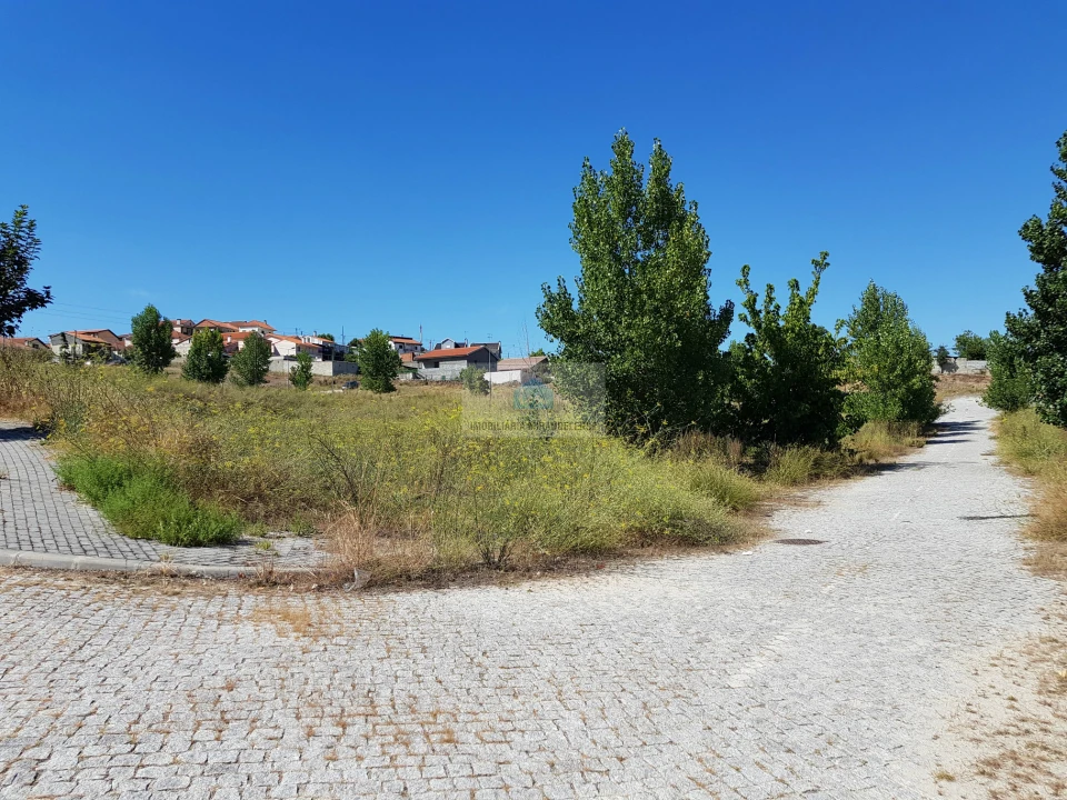 Terreno para Venda em Frechas Foto 9
