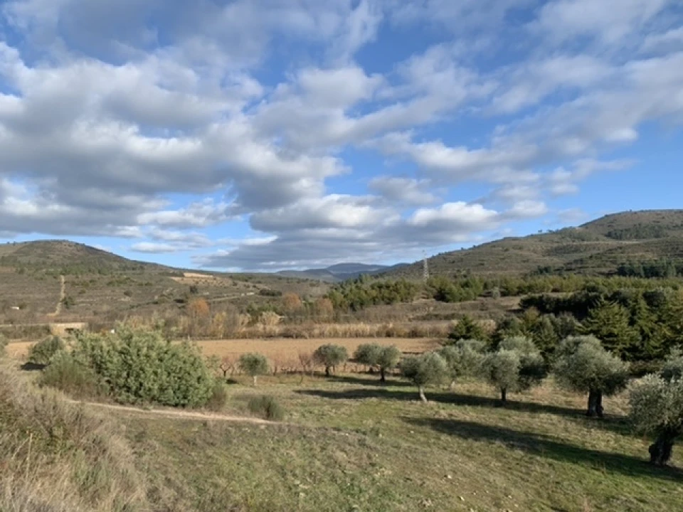 Terreno Agricola ou Rústico para Venda em Frechas Foto 8