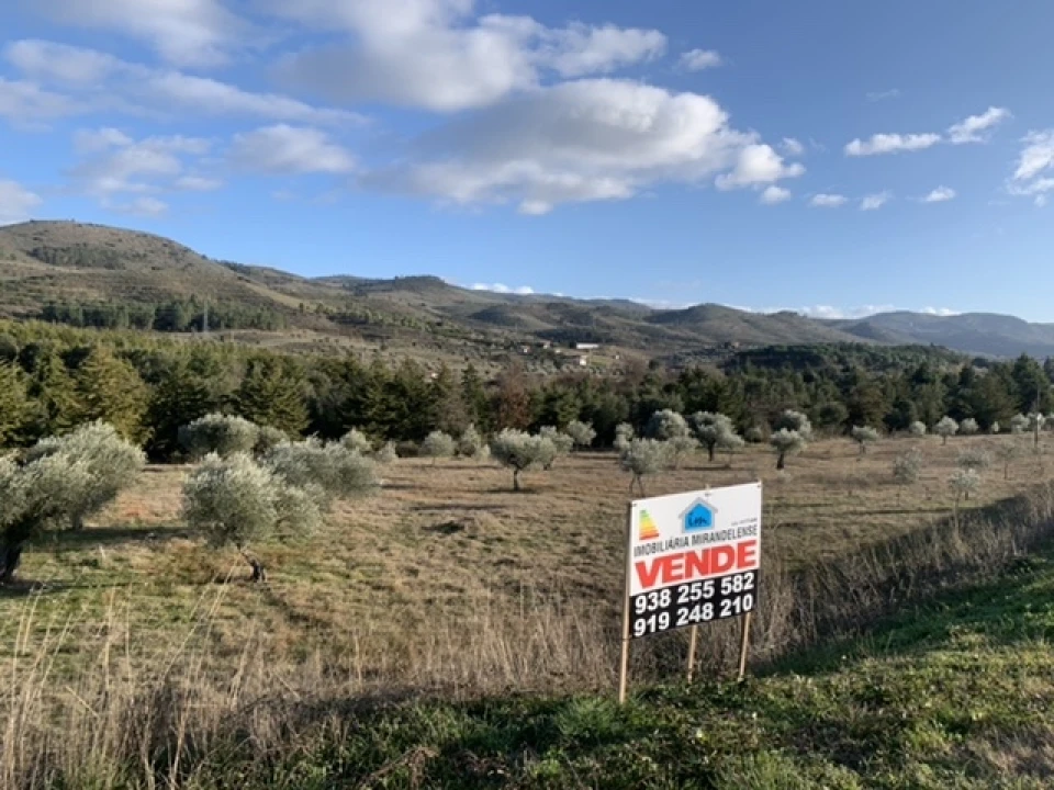 Terreno Agricola ou Rústico para Venda em Frechas Foto 13