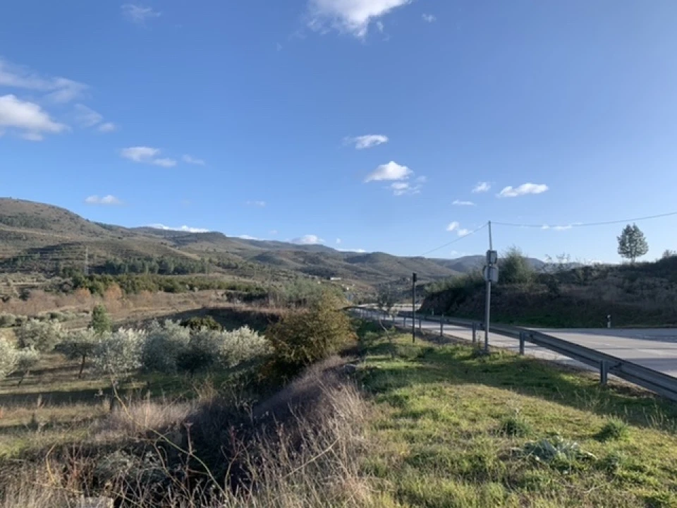 Terreno Agricola ou Rústico para Venda em Frechas Foto 4