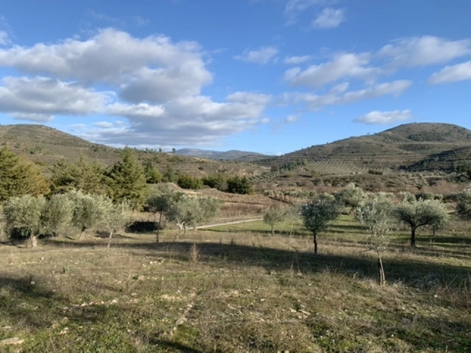 Terreno Agricola ou Rústico para Venda em Frechas Foto 5