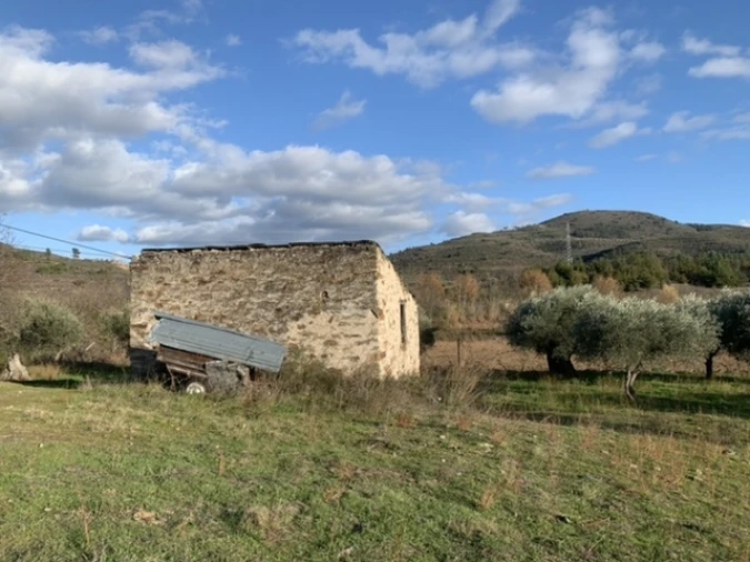 Terreno Agricola ou Rústico para Venda em Frechas Foto 16