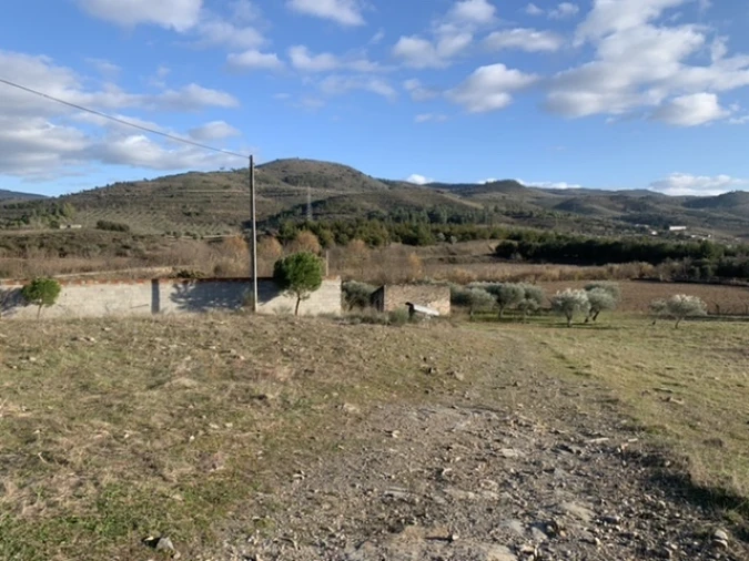 Terreno Agricola ou Rústico para Venda em Frechas Foto 14