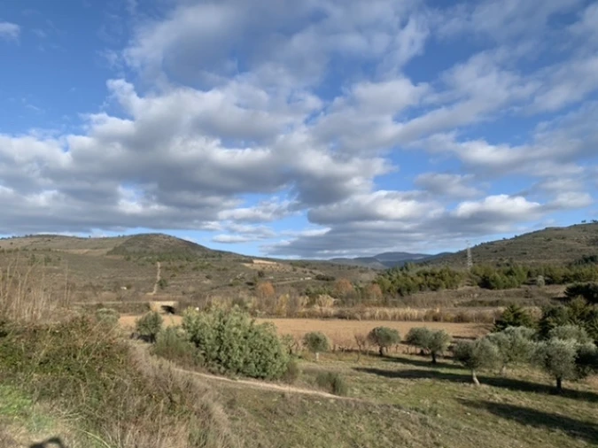 Terreno Agricola ou Rústico para Venda em Frechas Foto 9