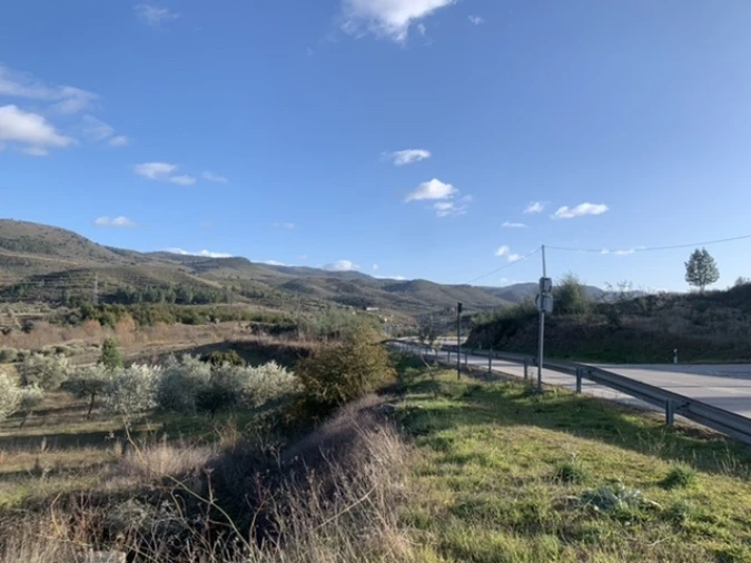 Terreno Agricola ou Rústico para Venda em Frechas Foto 4