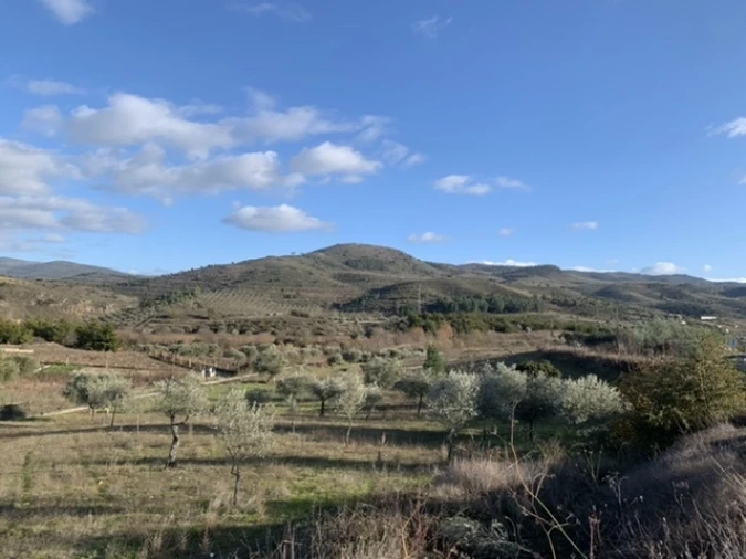 Terreno Agricola ou Rústico para Venda em Frechas Foto 2