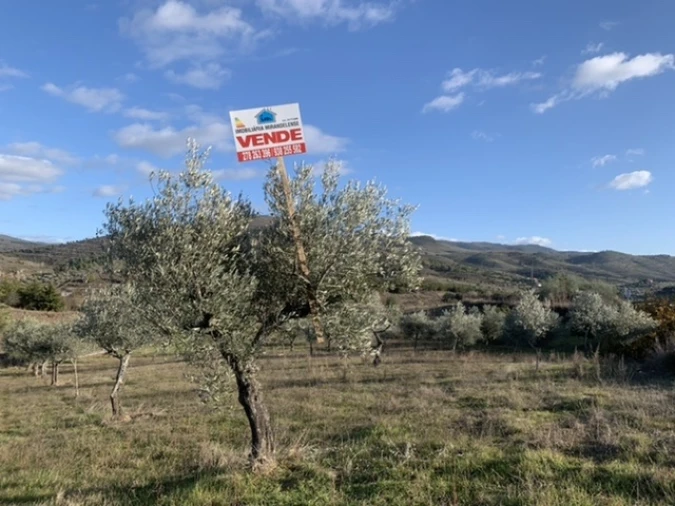 Terreno Agricola ou Rústico para Venda em Frechas Foto 6