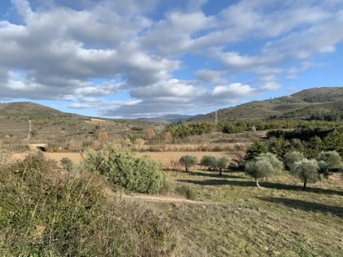 Terreno Agricola ou Rústico para Venda em Frechas Foto 11