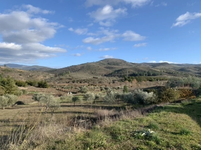 Terreno Agricola ou Rústico para Venda em Frechas Foto 7