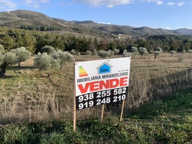 Terreno Agricola ou Rústico para Venda em Frechas