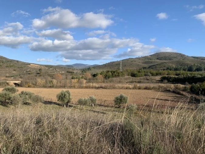 Terreno Agricola ou Rústico para Venda em Frechas Foto 19