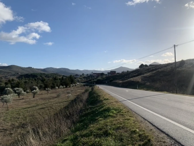 Terreno Agricola ou Rústico para Venda em Frechas Foto 10