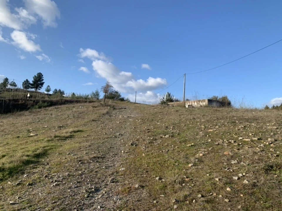 Terreno Agricola ou Rústico para Venda em Frechas Foto 20