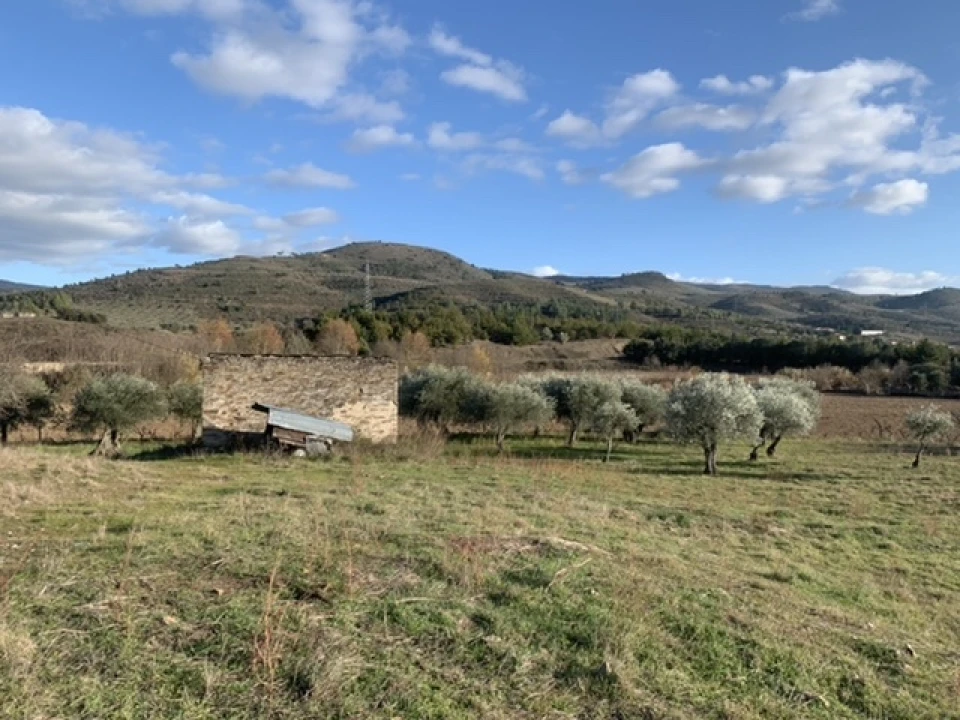 Terreno Agricola ou Rústico para Venda em Frechas Foto 15